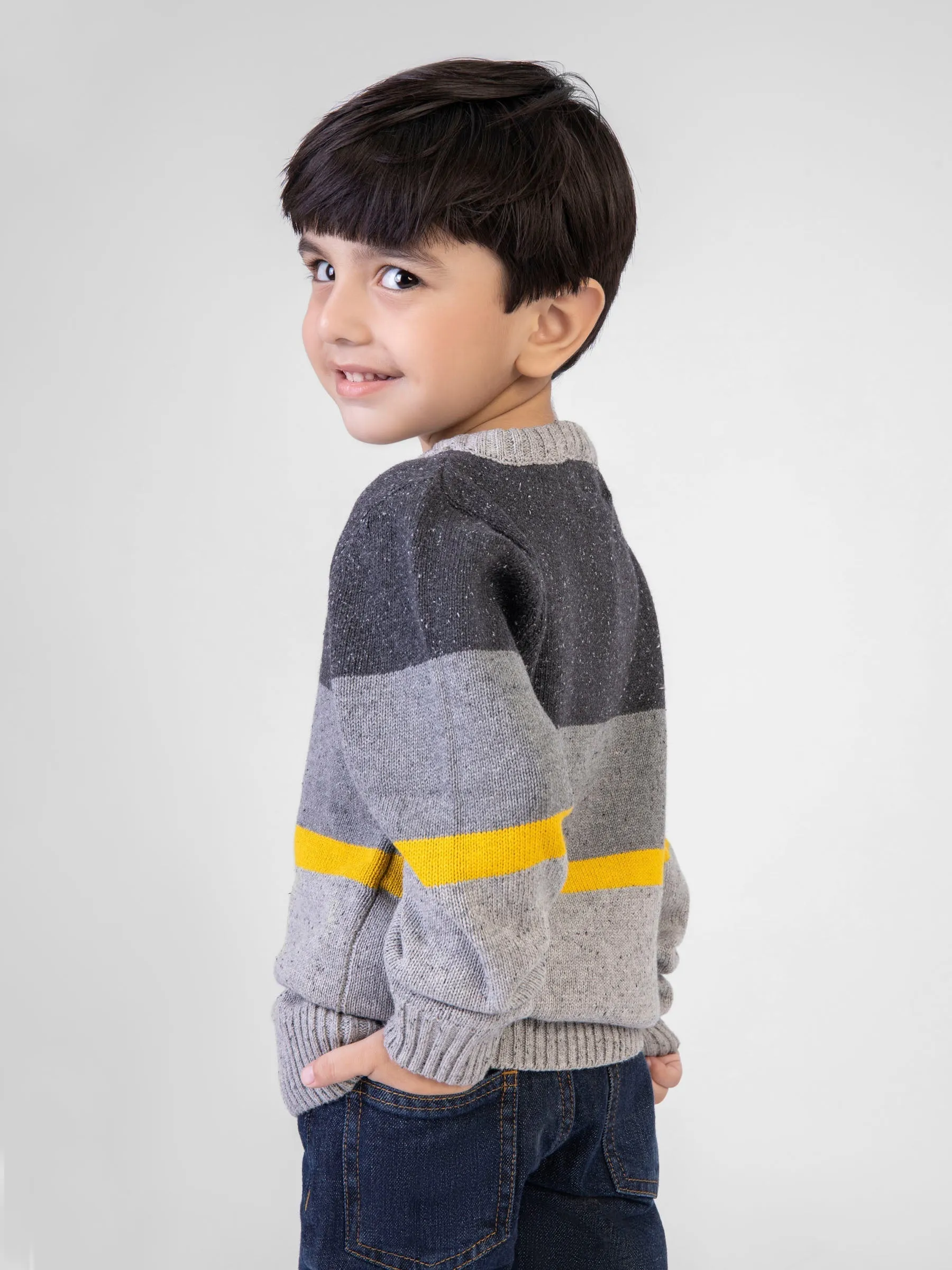 Grey & Yellow  Casual Crew Neck Jumper